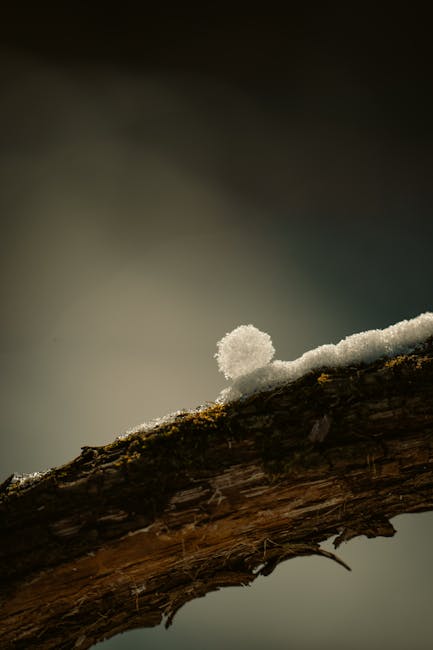 Nature detail representing growth and organic vitality